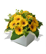 Send Yellow Gerbera to Goa