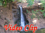 Video clip of Arvalam Waterfalls