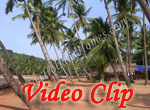 Video clip of Hollant Beach