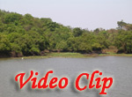 Video clip of Maya Lake