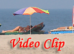 Video clip of Morjim Beach In Goa