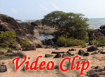 Video clip of Colom beach