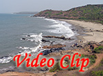 Video Clip