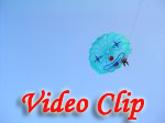 Video clip of Golden Goa