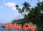 Video clip of Siridao Beach