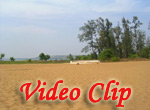Video clip of Miramar Beach In Goa