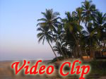 Video clip of Cansaulim Beach in Goa