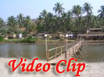 Video clip of Mandrem Beach