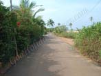 Goa Beach Homes in Candolim - Road To Beach