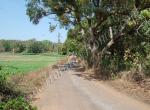 Property For Sale in Moira in Moira, North Goa