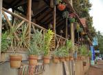 The Stone House - Bristro & Grill in Candolim, North Goa
