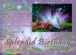 Splendid Birthday