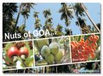 Nuts of Goa
