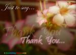 Thank You