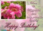 Birthday Wishes