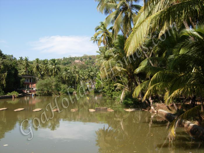 places to visit in assonora goa