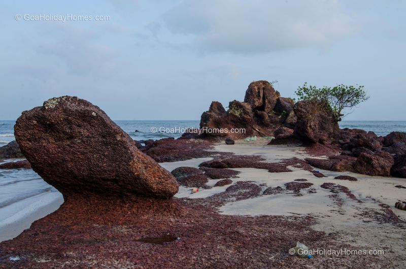 Canaguinim Beach in Goa