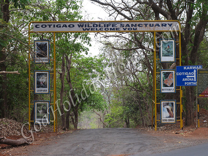 Cotigao Wildlife Sanctuary in Goa