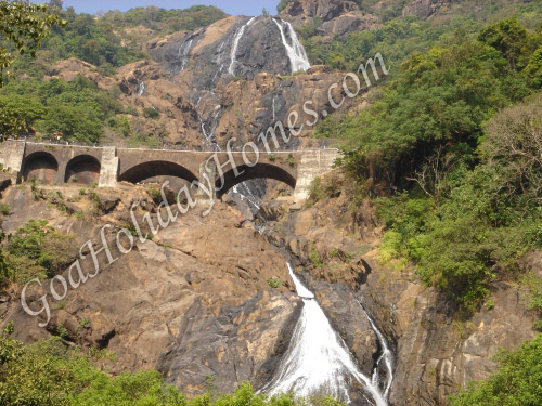 Dudhsagar Waterfall in Goa