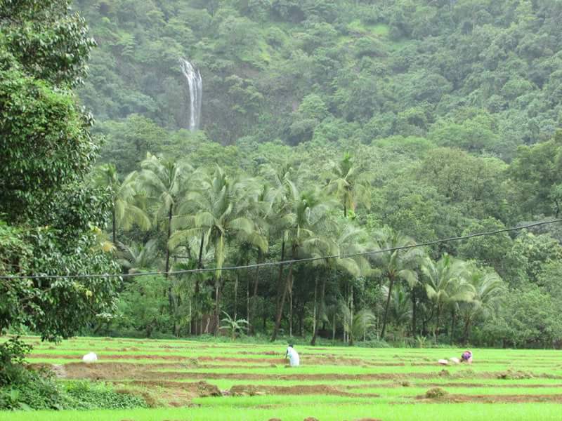 Kuskem Waterfall in Goa