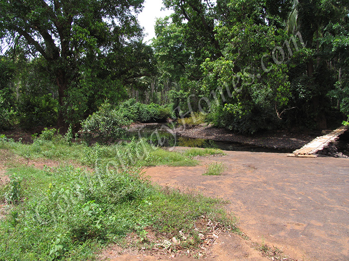 Usgalimal Rock Carvings in Goa