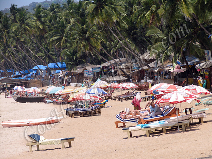 Palolem Beach In Goa in Goa