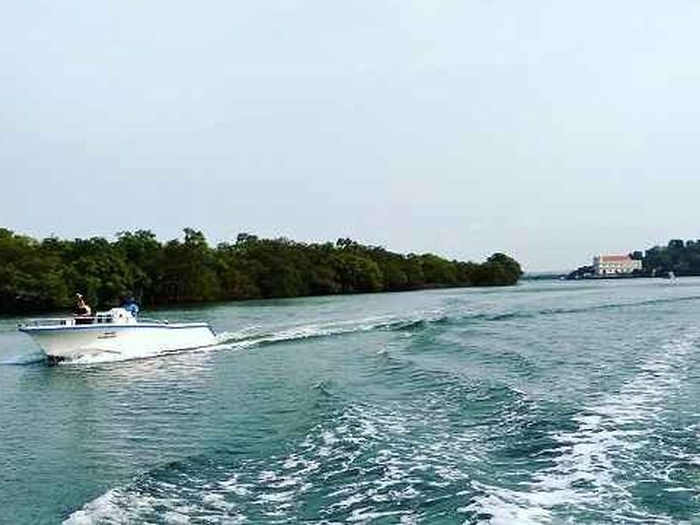 Rediscovery Cruises in Goa