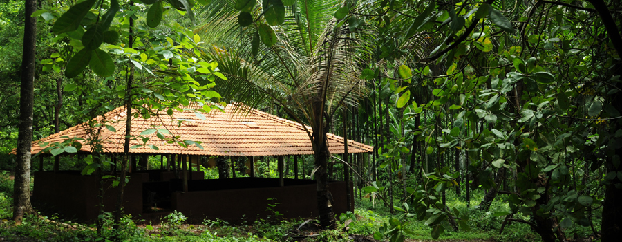 Tanshikar Spice Farm in Goa