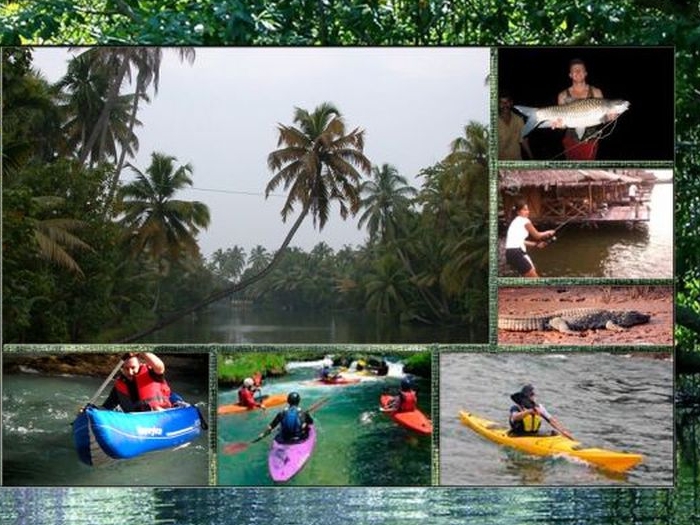 Wild Goa in Goa