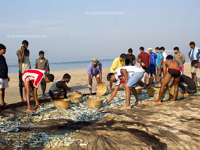 Arossim Beach in Goa